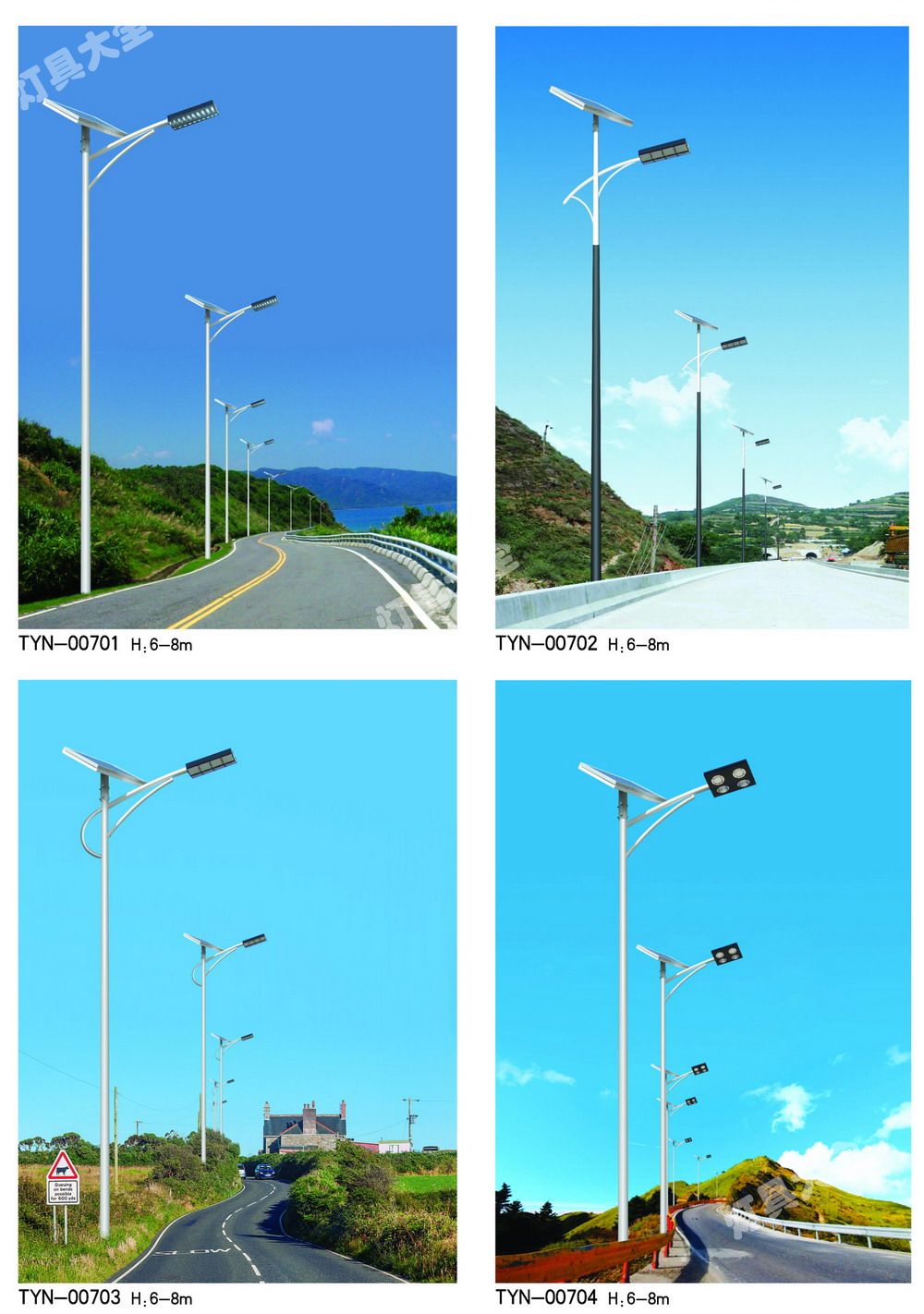 太阳能路灯 (13)