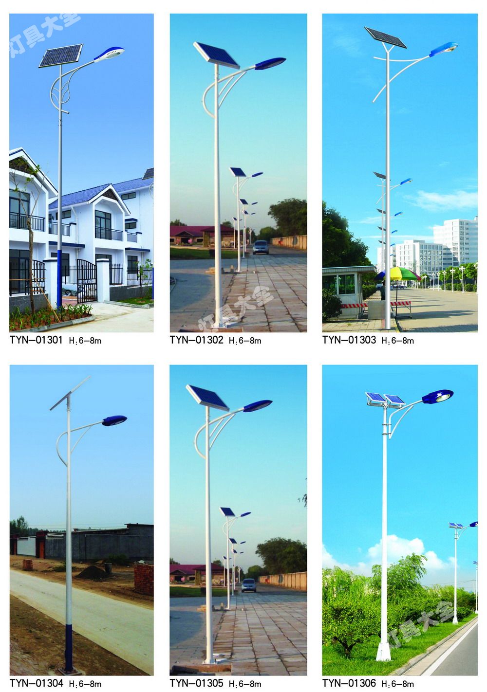 太阳能路灯 (21)